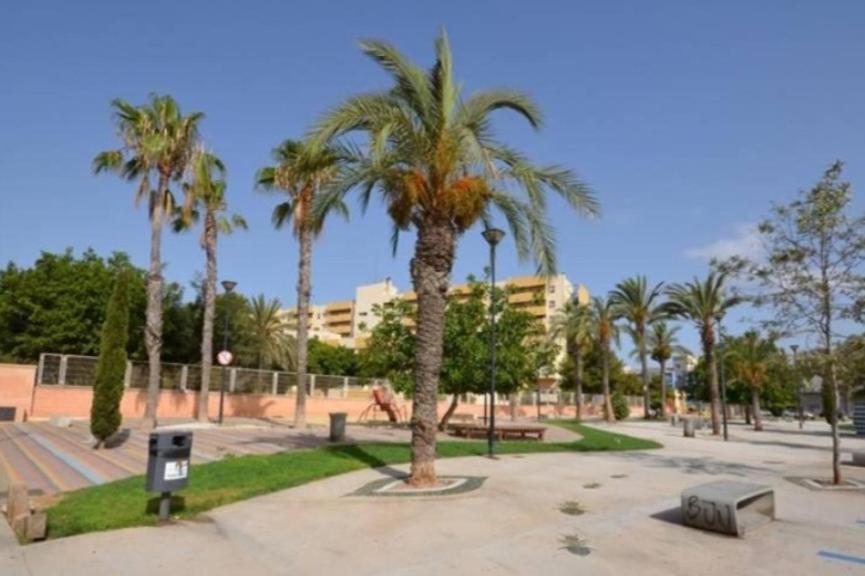 Apartamento Los Gases Torrevieja Esterno foto